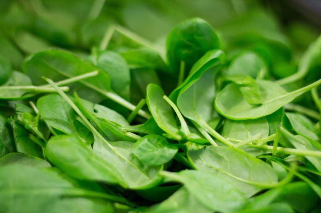 foods for hair, spinach, plant